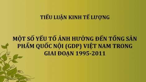 Dự báo tăng trưởng Kinh tế Việt Nam không thể chỉ mãi lo phòng thủ