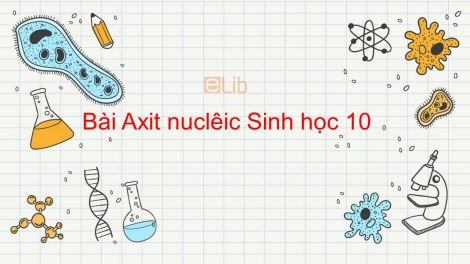 Sinh học 10 Bài 6: Axit nuclêic