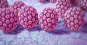 Sinh thiết mụn cóc sinh dục (Human Papillomavirus): ý nghĩa lâm sàng giá trị kết quả