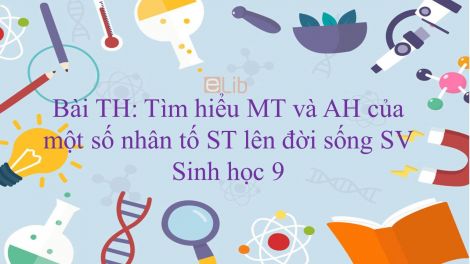 Sinh Học 9 Bài 45-46: Th: Tìm Hiểu Môi Trường Và Ảnh Hưởng Của Một Số Nhân  Tố Sinh Thái Lên Đời Sống Sinh Vật