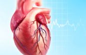 Xạ hình tim: ý nghĩa lâm sàng giá trị kết quả