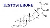 Xét nghiệm Testosterone - những thông tin cần biết