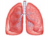 Bệnh phổi bụi bông - Triệu chứng, nguyên nhân và cách điều trị
