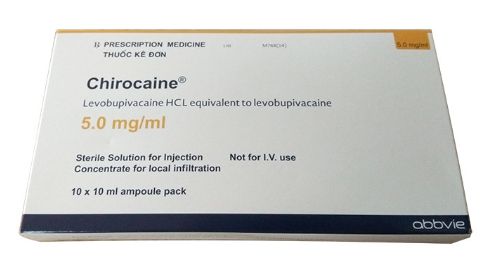 Levobupivacaine - Thuốc gây tê tại chỗ