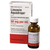 Thuốc Lincomycin hydrochlorid - Điều trị nhiễm khuẩn nặng