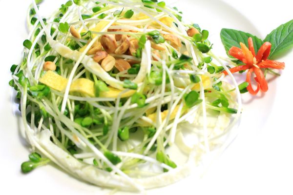 Hướng dẫn cách làm salad rau mầm cho người ăn chay tuyệt ngon tại nhà