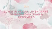 Luyện từ và câu: Luyện tập về từ nhiều nghĩa (tuần 8) Tiếng Việt 5